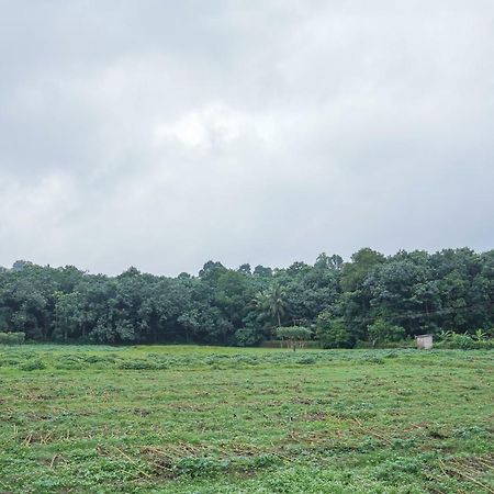 Thanal Premium Villa By - A Place To Call Your Home Muvattupuzha エクステリア 写真
