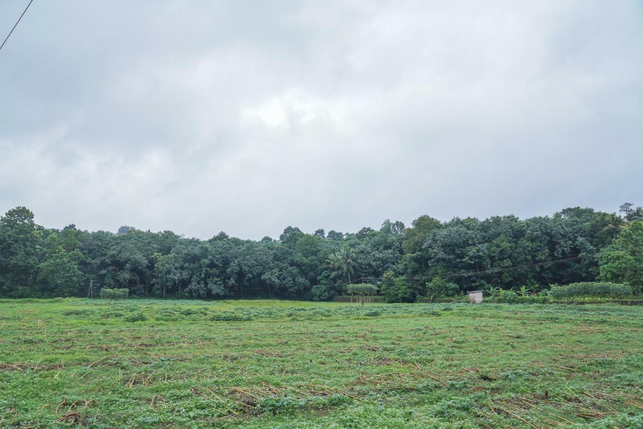 Thanal Premium Villa By - A Place To Call Your Home Muvattupuzha エクステリア 写真
